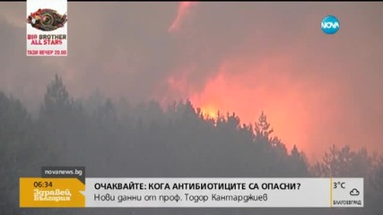 Горският пожар край Габрово е локализиран