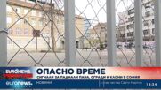 Опасно време: Сигнали за паднали пана, огради и клони в София