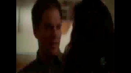 Tony and Ziva - Michael & Cote - I Think I Love You