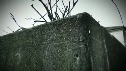Dado Polumenta - Moja srno Video Spot 2009