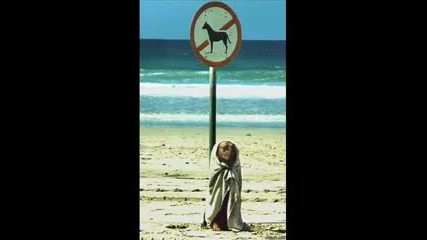 Funny Pictures!!!