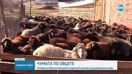 Караколев: БАБХ не е предприела никакви дезинфекционни мерки във фермата във Велинград