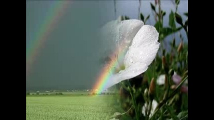 Karunesh - Blessing Rain
