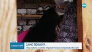 САМО ПО NOVA: Говори майката на детето, живяло в стопанска постройка (ВИДЕО)