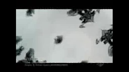 The Gazette - Leech