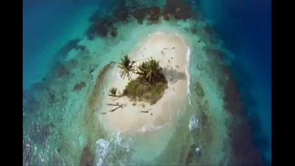 Chill Out Music - Dolphins