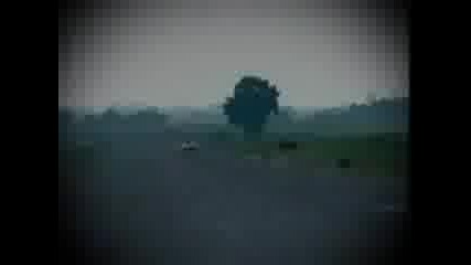 Кола