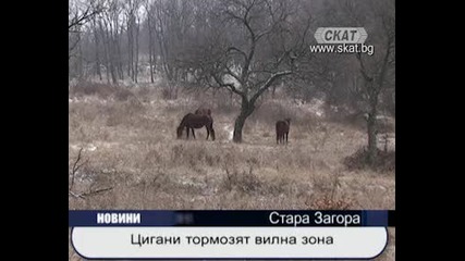 Цигани тормозят вилна зона 