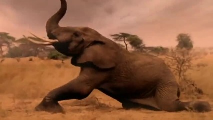 Michael Jackson - Earth Song (official music video)