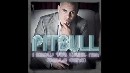 Pitbull - I Know U Want Me