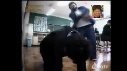 Вижте защо английският е труден език