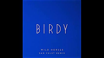 *2016* Birdy - Wild Horses ( Sam Feldt remix )