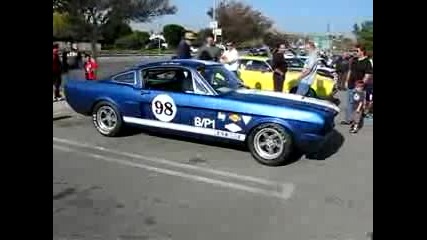 Ford Mustang Shelby Gt - 350 