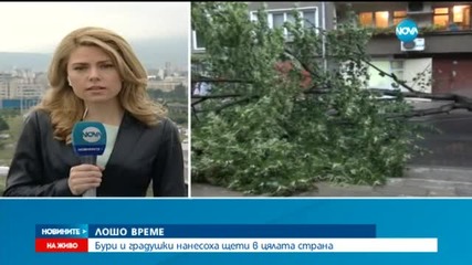 След бурите: Слънцето ще ни стопли през уикенда