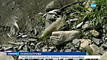 Екологична катастрофа в река Ботуня