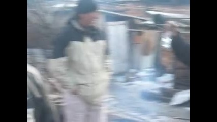 jivko i nina