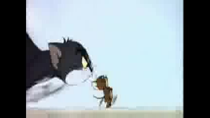 Tom And Jerry - 015 - The Bodyguard