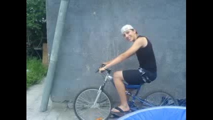 Kalo i ali