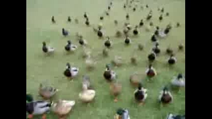 300
