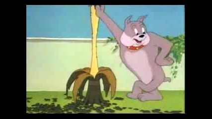 Tom and Jerry