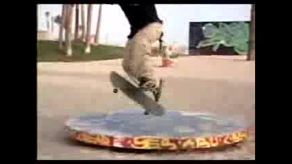 Едно Видео На Rodney Mullen