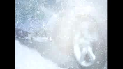 Berkutdemoreel