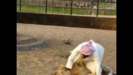 Луд арабин си играе с лъв и накрая го язди