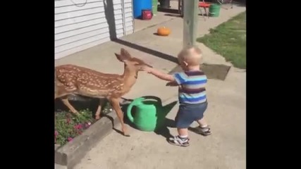 Малко момченце среща сърна за пръв път