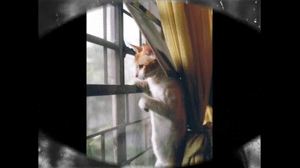 Thom Yorke - Analyse
