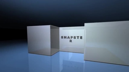 S N A P S T E R 2012