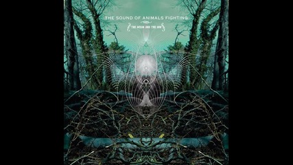 The Sound of Animals Fighting- I, The Swan