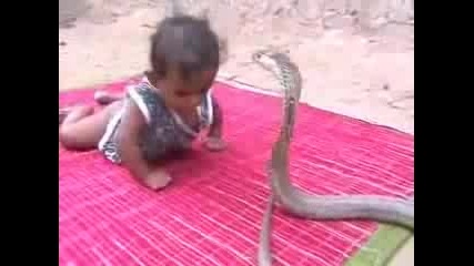 Baby vs. Cobra (only in India)