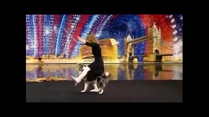 Британия търси талант - Куче талант