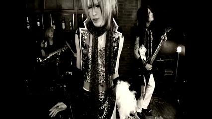 Ouroboros - chevalier and wish