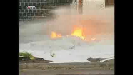 Shim - Self - On - Fire