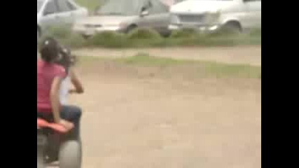 щури мацки