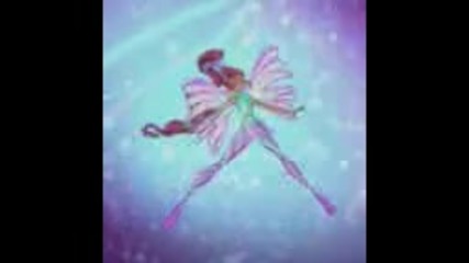 Winx-say ok