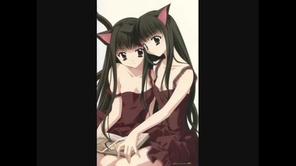 Cute/sexy Anime Cat Girls