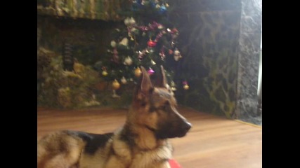 06.02.2011 g. Sergi 