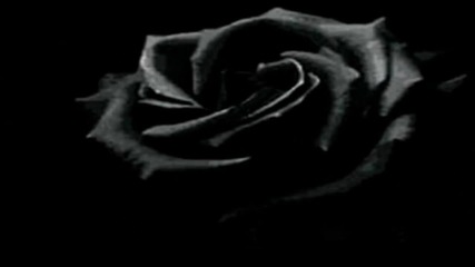 Doro Pesch --- Black Rose