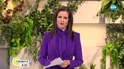 Колко ще ни струва чадър и шезлонг в Гърция това лято