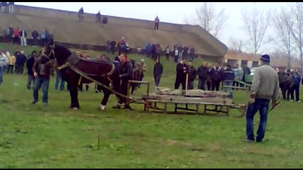 kon Taisan v Saedinenie