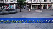 100-метрово синьо платно с жълти рози на площад „Славейков”.