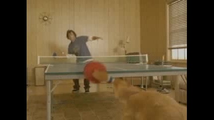 Pingpong (пародия)