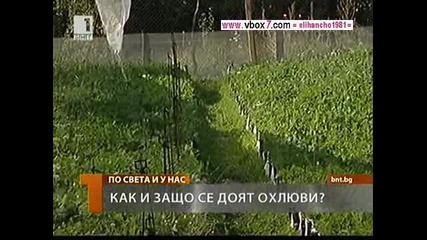 Как се Доят Охлюви