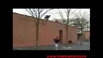 parkour and freerunning 