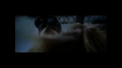 Kill Bill Music Video - Malaguena Salerosa Chingгіn