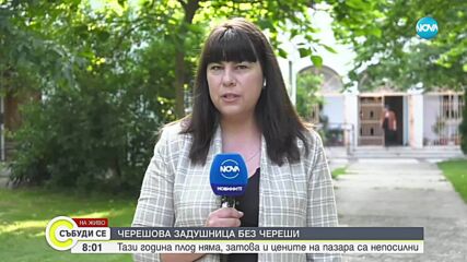 25 лв. за килограм: Купуват ли се череши навръх Задушница въпреки високата цена