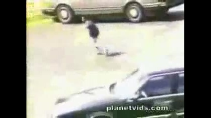 pitbull vs. junge 