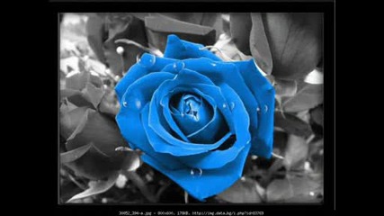 Music: Dima Bilan & Picture: My Favorite